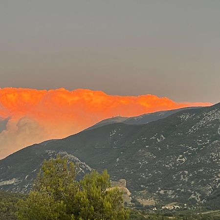 Les Terrasses Du Ventoux Apartment Mollans-sur-Ouveze Luaran gambar